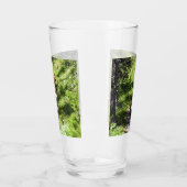 Braunbärenfamilie Glas (Links)