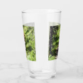 Braunbärenfamilie Glas (Rechts)