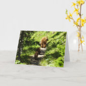 Braunbärenfamilie Karte (Gelbe Blume)