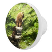 Braunbärenfamilie Keramikknauf (Rechts)