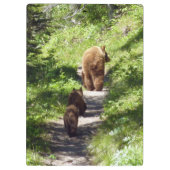 Braunbärenfamilie Klemmbrett (Rückseite)