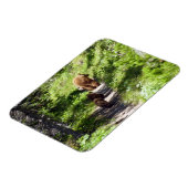 Braunbärenfamilie Magnet (Linke Seite)