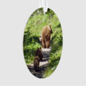 Braunbärenfamilie Ornament (Vorderseite)