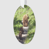 Braunbärenfamilie Ornament (Vorderseite)