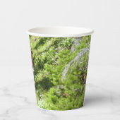 Braunbärenfamilie Pappbecher (Rückseite)