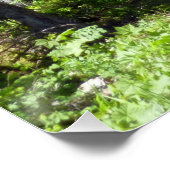 Braunbärenfamilie Poster (Ecke)