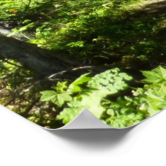 Braunbärenfamilie Poster (Ecke)