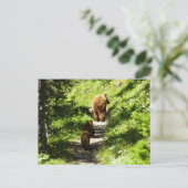 Braunbärenfamilie Postkarte (Stehend Vorderseite)