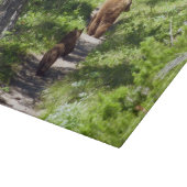 Braunbärenfamilie Schneidebrett (Ecke)