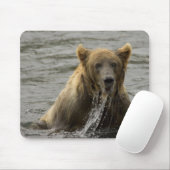 Braunbärenfisch Mousepad (Mit Mouse)