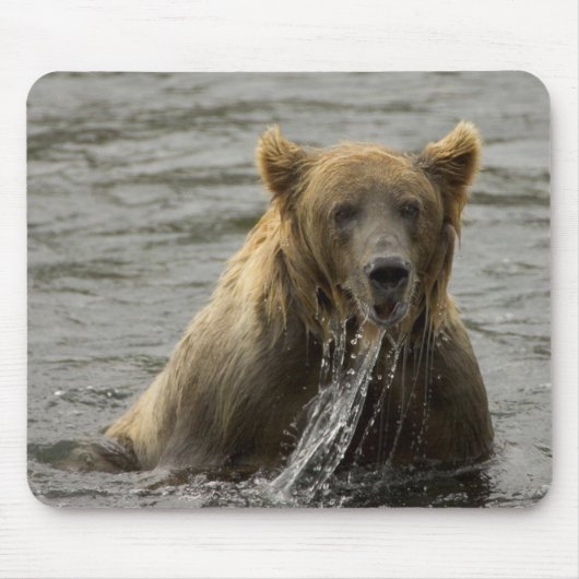 Braunbärenfisch Mousepad (Vorne)