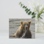 Braunbärenfischerei Postkarte (Stehend Vorderseite)
