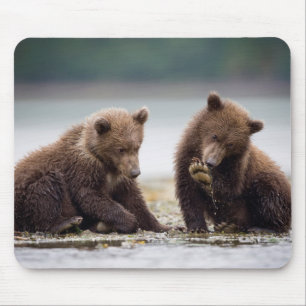 Braunbärenjunge am Bach Mousepad