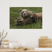 Braunbärenjunge kuscheln mit ihrer Mutter Poster (Küche)