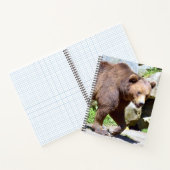 Braunbärenwanderkarte Notizblock (Innenseite)