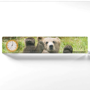 Braunbärkodiak-CUB-Geschenke Namensplakette