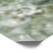Braunbart Goby Poster (Ecke)