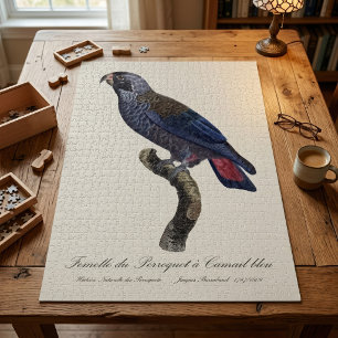 Braunbindensittich, Pionus fuscus Puzzle
