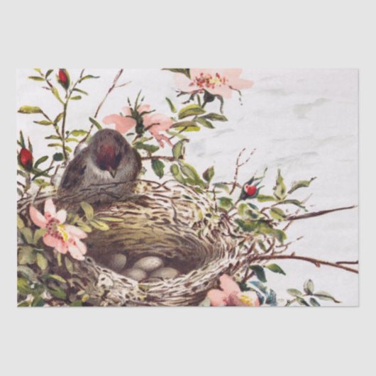 Braunbird und Nest Decoupage Set Rose 1 von 4 Seidenpapier (Vorderseite)