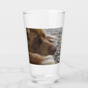 Braunblatt Glas