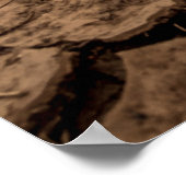 Braunboden Poster (Ecke)