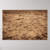 Braunboden Poster (Vorne)