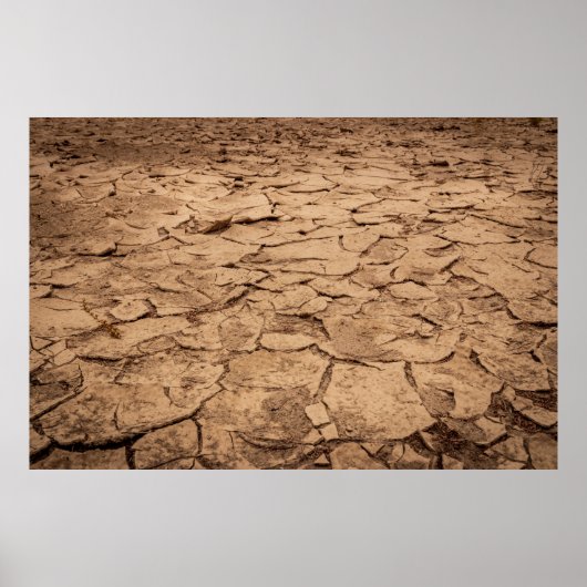 Braunboden Poster (Vorne)