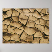 Braunboden Poster (Vorne)