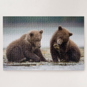 Braune Bärenjunge am Bach Puzzle