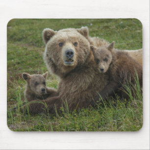 Braune Bärenjunge kuscheln mit ihrer Mutter Mousepad