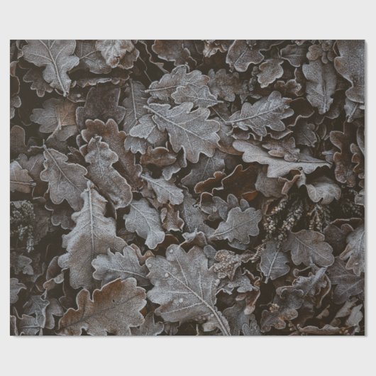 Braune Blätter Geschenkpapier (Flach)