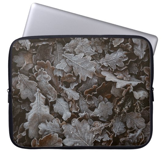 Braune Blätter Laptopschutzhülle (Vorderseite)