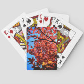 Braune Blätter Spielkarten (Rückseite)