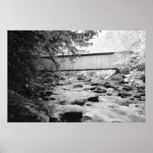 Braune Brücke Poster