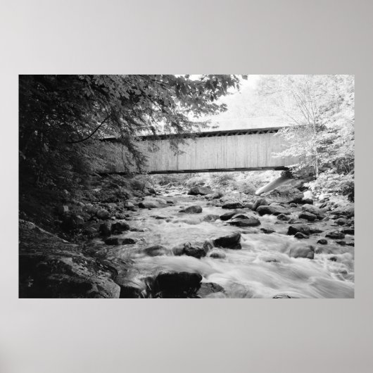 Braune Brücke Poster (Vorne)