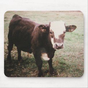Braune Cremekuh Mousepad