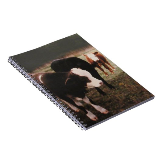 Braune Crewkühe Notizblock (Rechte Seite)