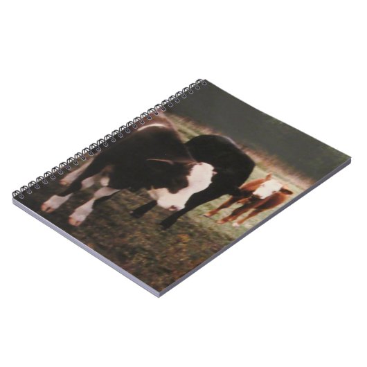 Braune Crewkühe Notizblock (Linke Seite)