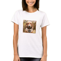 Braune Dackel Hund mit geschlossenen Augen