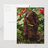 Braune Dackel im Garten mit Blume Postkarte (Vorne/Hinten)