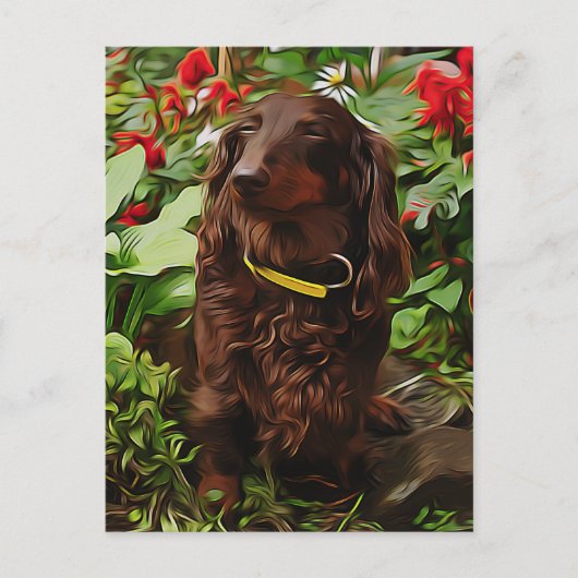 Braune Dackel im Garten mit Blume Postkarte (Vorderseite)