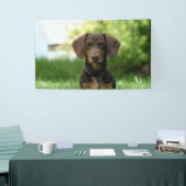 Braune Dackel Welpe Banner (Messeveranstaltung)