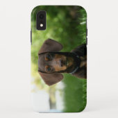 Braune Dackel Welpe Case-Mate iPhone Hülle (Rückseite)