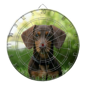 Braune Dackel Welpe Dartscheibe
