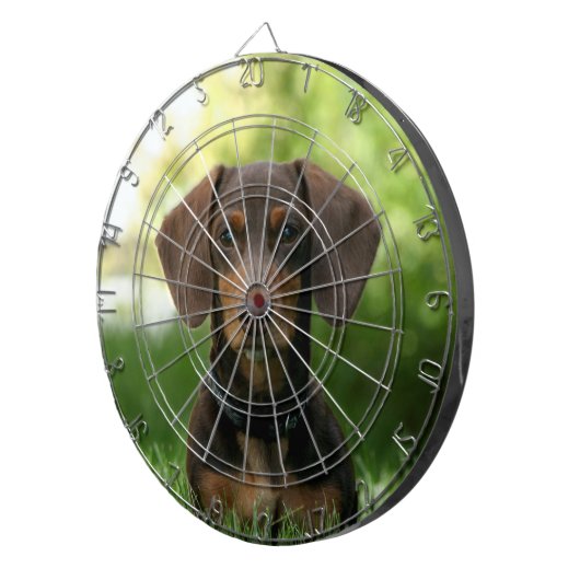 Braune Dackel Welpe Dartscheibe (Vorderseite rechts)