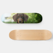 Braune Dackel Welpe Skateboard (Horizontal)
