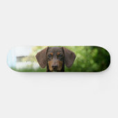 Braune Dackel Welpe Skateboard (Horizontal)