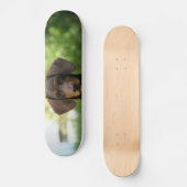 Braune Dackel Welpe Skateboard (Vorderseite)
