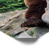 Braune Erholung Poster (Ecke)