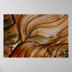 Braune Farbe Deschutes Jasper Poster